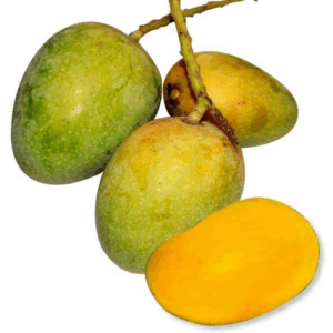 প্রিমিয়াম আম (৫কেজি)